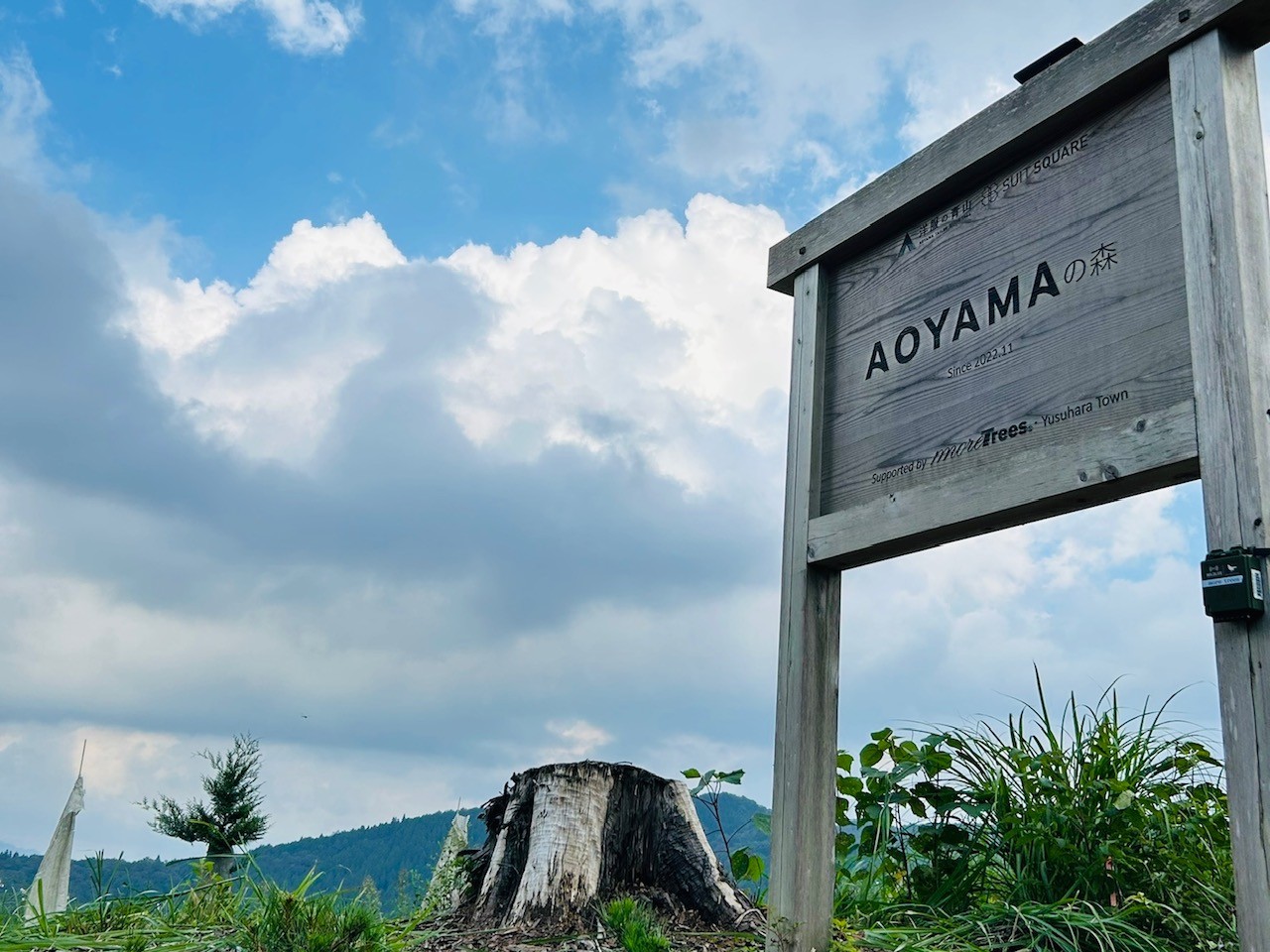「AOYAMAの森インターンシップ」開催